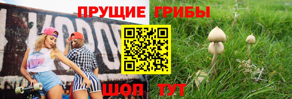 Псилоцибиновые грибы GOLDEN TEACHER  Галлюциногенные грибы MAGIC MUSHROOMS  Вход с VPN  Норильск 