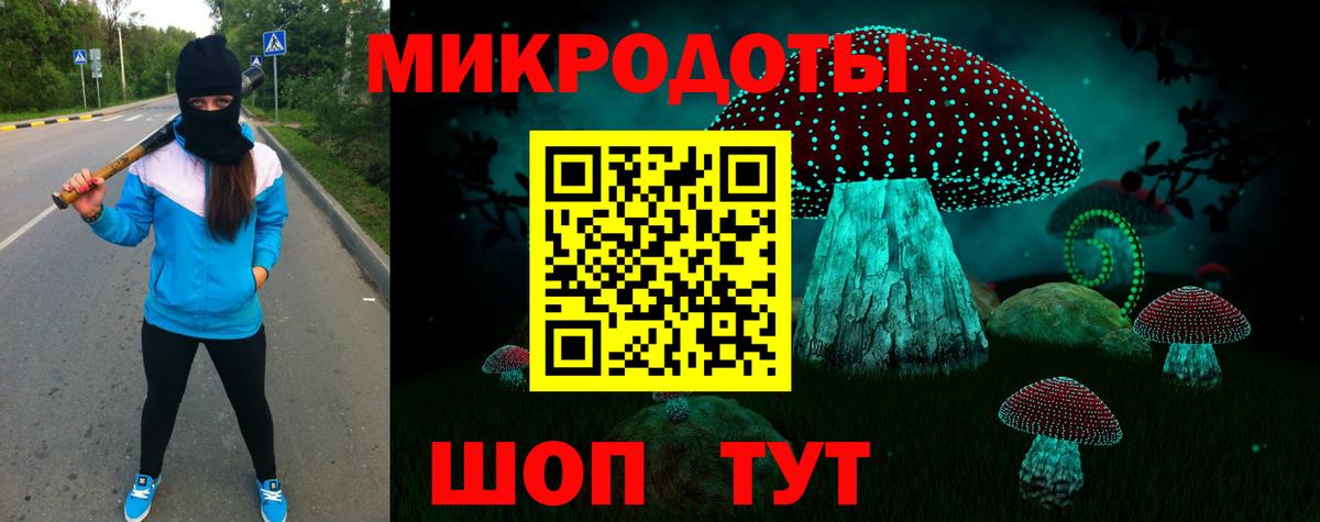Галлюциногенные грибы Cubensis Норильск